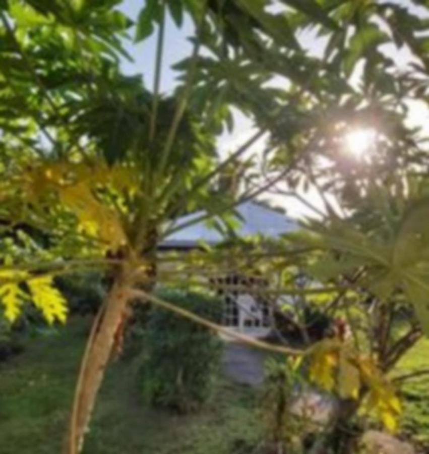 Chez Mimi Et Daniel Villa Bora Bora Exterior foto
